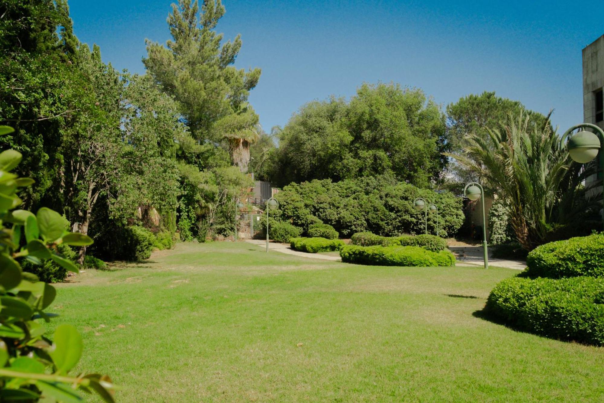 Apartment Pisgat